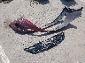 1C3CCCBG7GN****** Wrecked 2016 Chrysler 200 in Arizona State