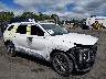 KM8R4DHE0LU****** Salvamento y Reparables 2020 Hyundai Palisade en Estado de Pennsylvania