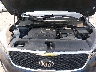 5XYPGDA54HG****** Reparables 2017 Kia Sorento en Seattle
