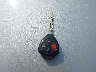 4T1BK46K98U****** Salvamento 2008 Toyota Camry en Estado de Washington