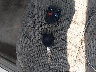 1FAHP35N19W****** Salvamento 2009 Ford Focus en Estado de Nebraska