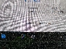 5YJ3E1EA9KF****** Repairable 2019 Tesla Model 3 in California State