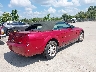 1ZVHT84N285****** Salvamento y Destrozados 2008 Ford Mustang en Estado de Illinois