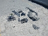 3MF13DM08R8****** Wrecked 2024 BMW M2 in California State