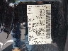 1N6ED1EK5NN****** Used 2022 Nissan Frontier in Nashville