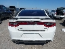 2C3CDXCT0MH****** Destrozados 2021 Dodge Charger