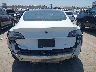 5YJ3E1EB9KF****** Destrozados 2019 Tesla Model 3