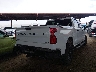 1GCPYCEF6MZ****** Salvamento y Destrozados 2021 Chevrolet Silverado 1500 en Estado de Arizona