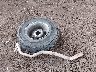 JT4RN81A3M5****** Wrecked 1991 Toyota Pickup in Arizona State