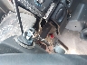 3B7HF13YXYM****** Salvamento 2000 Dodge Ram 1500 en Estado de Carolina del Norte