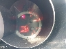 JM1BK323981****** Salvage 2008 Mazda 3 in Abilene