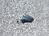 JM1BM1M34F1****** Destrozados 2015 Mazda 3 en Estado de Nevada