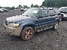 1FMYU03Z55K****** Used and Repairable 2005 Ford Escape in Scranton