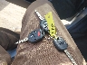 JF1GPAL60EH****** Salvage 2014 Subaru Impreza in Alaska State
