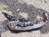 5NPD74LF5KH****** Destrozados 2019 Hyundai Elantra en Estado de Nuevo México