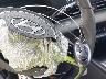 KMHLM4DG3SU****** Salvage 2025 Hyundai Elantra in Texas State