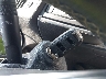 KL4CJESB2FB****** Salvamento 2015 Buick Encore en Estado de Ohio