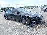 5YJ3E1EA7SF****** Salvage and Wrecked 2025 Tesla Model 3 in Clearwater