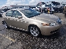 19UUA66256A****** Salvamento y Destrozados 2006 Acura TL en Lexington