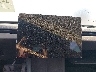 5YJ3E1EA4SF****** Salvage 2025 Tesla Model 3 in Lubbock
