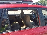 2T3BF4DV5BW****** Wrecked 2011 Toyota RAV4 in Elkton