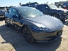 5YJ3E1EA8SF****** Salvamento y Destrozados 2025 Tesla Model 3 en North Hollywood