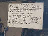 1GNCS13W9T2****** Used 1996 Chevrolet Blazer in Longview