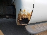 1FTWW33F7XE****** Repairable 1999 Ford F-350 in Washington State
