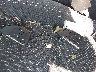 1GNERGRSXSJ****** Salvage 2025 Chevrolet Traverse in Wisconsin State