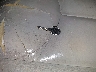 1GNEK13ZX4R****** Salvamento 2004 Chevrolet Tahoe en Estado de Tennessee
