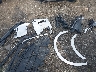 2T2BAMCA1SC****** Reparables 2025 Lexus RX