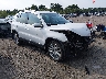 WVGBV3AX4DW****** Salvage and Wrecked 2013 Volkswagen Tiguan in Boston Shirley