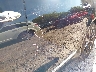 JTHCL5EF0C5****** Salvage and Wrecked 2012 Lexus LS 460 in Wisconsin State