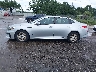5XXGT4L31KG****** Repairable 2019 Kia Optima in Florida State
