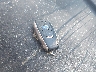 JF2GTHNC8MH****** Salvamento 2021 Subaru Crosstrek en Estado de Nueva York