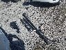 1GKKNPLSXHZ****** Wrecked 2017 GMC Acadia in West Virginia State