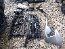 3GCUDFED8RG****** Wrecked 2024 Chevrolet Silverado 1500 in West Virginia State