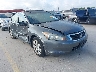 1HGCP2F81AA****** Salvage and Wrecked 2010 Honda Accord in San Antonio South
