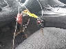 4T1C11AK5LU****** Salvage 2020 Toyota Camry in Virginia State