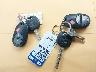 3TMMU4FN0EM****** Salvage 2014 Toyota Tacoma in Texas State