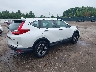 2HKRW6H3XKH****** Salvage and Wrecked 2019 Honda CR-V in Indiana State