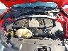 1FA6P8CF9K5****** Reparables 2019 Ford Mustang en Pensacola