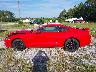 1FA6P8CF9K5****** Reparables 2019 Ford Mustang en Estado de Florida