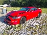 1FA6P8CF9K5****** Usados y Reparables 2019 Ford Mustang en Pensacola