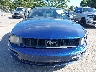 1ZVHT80NX65****** Destrozados 2006 Ford Mustang en Estado de Nueva York