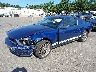1ZVHT80NX65****** Usados y Reparables 2006 Ford Mustang en Long Island