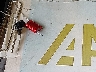 1N4AL3AP2EC****** Salvage 2014 Nissan Altima in Florida State