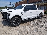 1FTFW1E51PF****** Usados y Reparables 2023 Ford F-150 en Concord