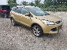 1FMCU9J91EU****** Salvage and Wrecked 2014 Ford Escape in Appleton