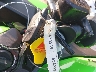 ML5EXGJ17TD****** Salvamento 2026 Kawasaki Ninja 500 en Estado de Texas